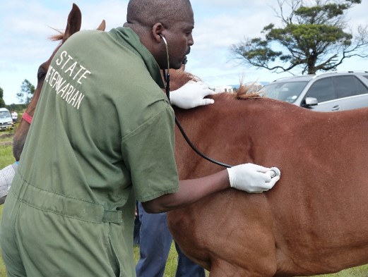 Veterinary Services